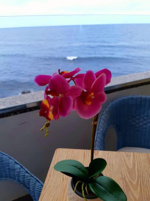 דירות פוארטו דה לה קרוז Ocean Orchidea מראה חיצוני תמונה